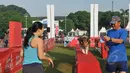 Seekor anjing sedang mengikuti acara Purina Alpo Dog Run 2015 di Lapangan Parkir Timur Senayan, Jakarta, Minggu (24/5/2015). Acara tersebut dimanfaatkan para pemilik anjing untuk berbagi informasi. (Liputan6.com/Herman Zakharia)