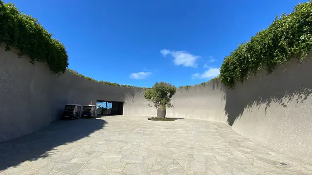 Mencicipi Jamuan Mewah di Pt. Leo Estate