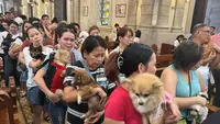 Gereja di Manila Gelar Pemberkatan Hewan Peliharaan, Ada Anjing hingga Siput
