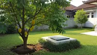 7 Pohon Buah yang Aman Ditanam Dekat Septic Tank, Bisa Jadi Solusi Berkebun di Hunian Sempit