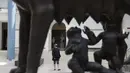 Seorang pengunjung dibingkai oleh patung perunggu skala besar Capitoline Wolf di Museum Capitoline Roma, Senin (26/4/2021). Italia kembali dibuka secara bertahap pada hari Senin setelah enam bulan memberlakukan lockdown untuk menghambat penyebaran corona Covid-19. (AP Photo/Gregorio Borgia)