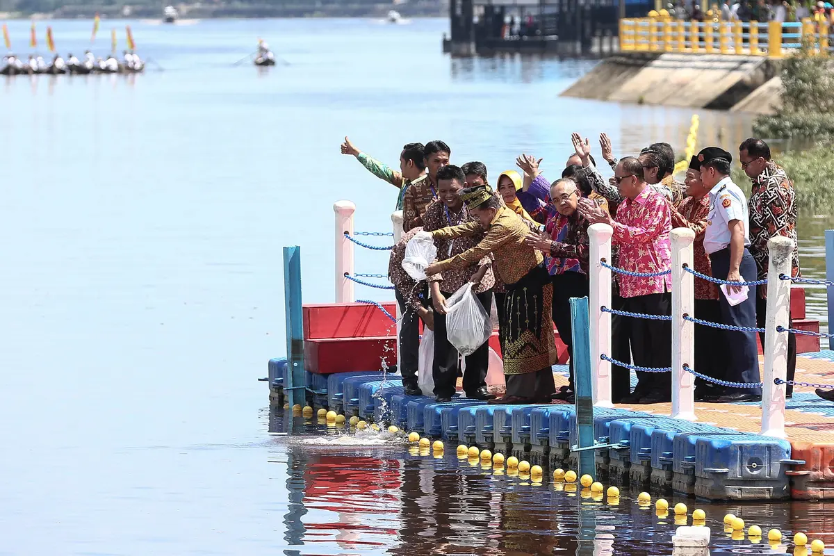 20160722-Pelapasan-100.000-ekor-Benih-Ikan-Patin-Sungai-Siak-Jusuf-Kalla-FF