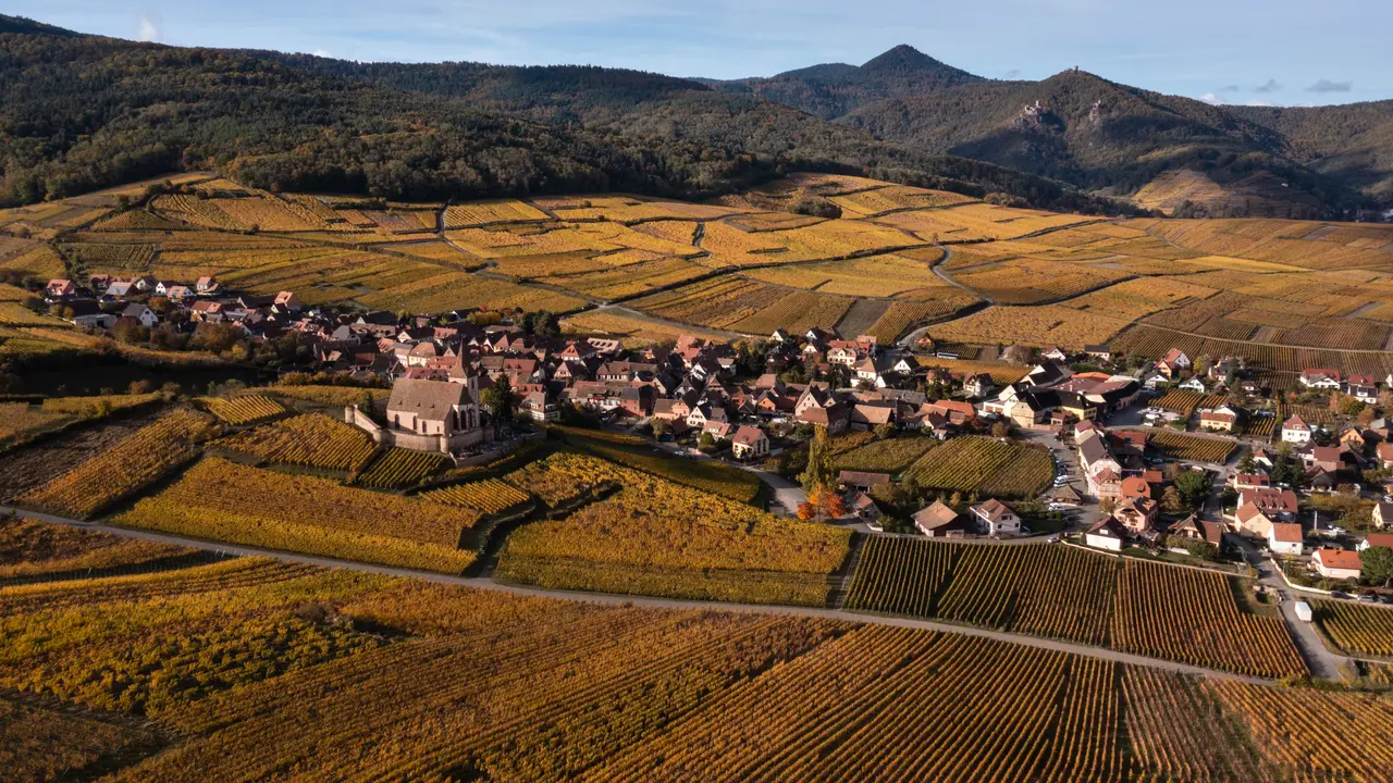 Musim Gugur di Perkebunan Anggur Alsace Prancis