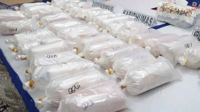 Koper Berisi Benur! Polisi Bongkar Modus Baru Penyelundupan Lobster via Batam