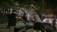 Pohon Tumbang Timpa 5 Pemotor Depan Kampus Unpad Jatinangor (AntaraNews)