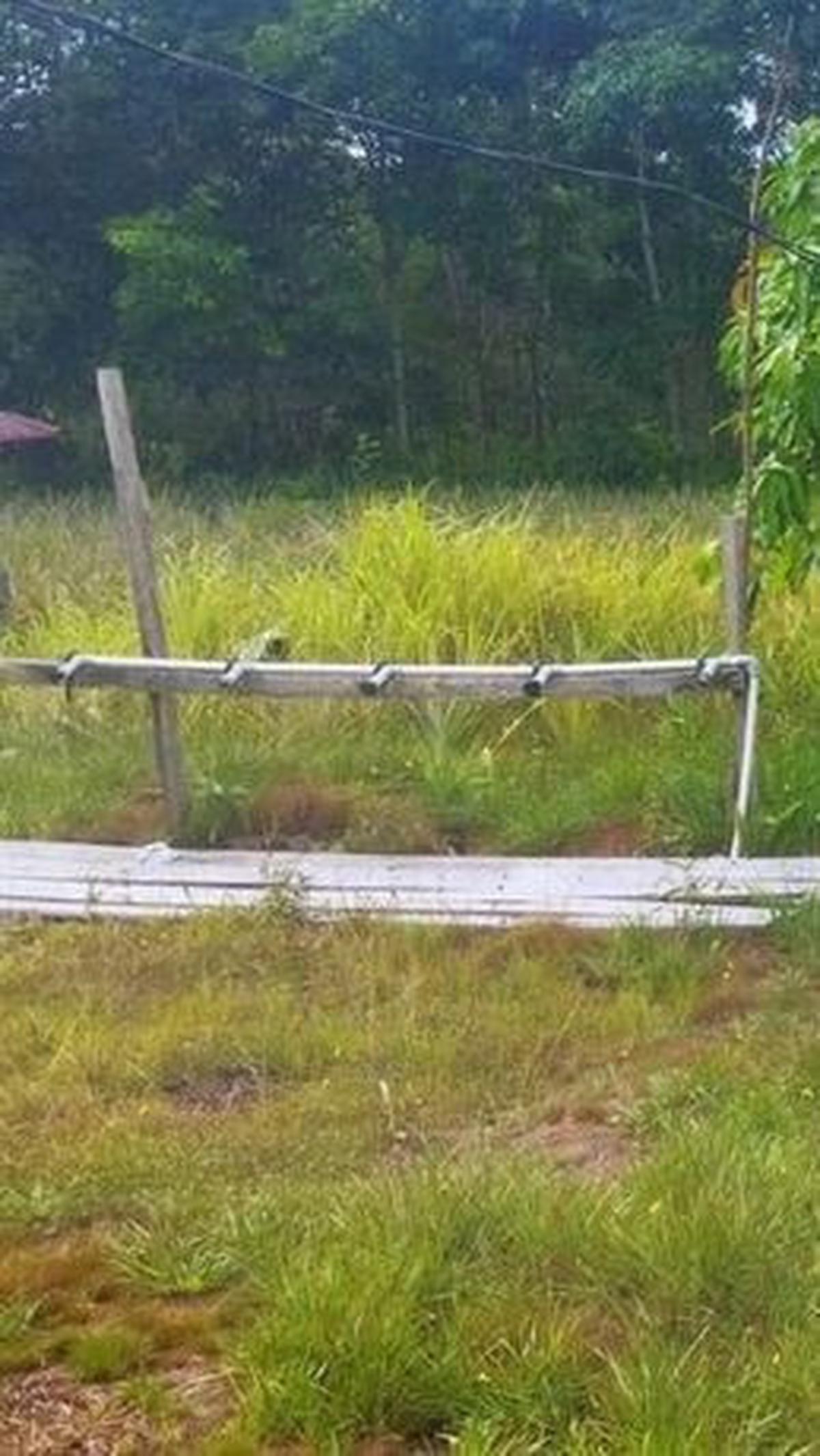 "Untuk berwudhu masih menggunakan air parit yang hitam dan kelat yang bersumber dari tanah gambut," demikian dikutip dari keterangan pada laman kitabisa.com.