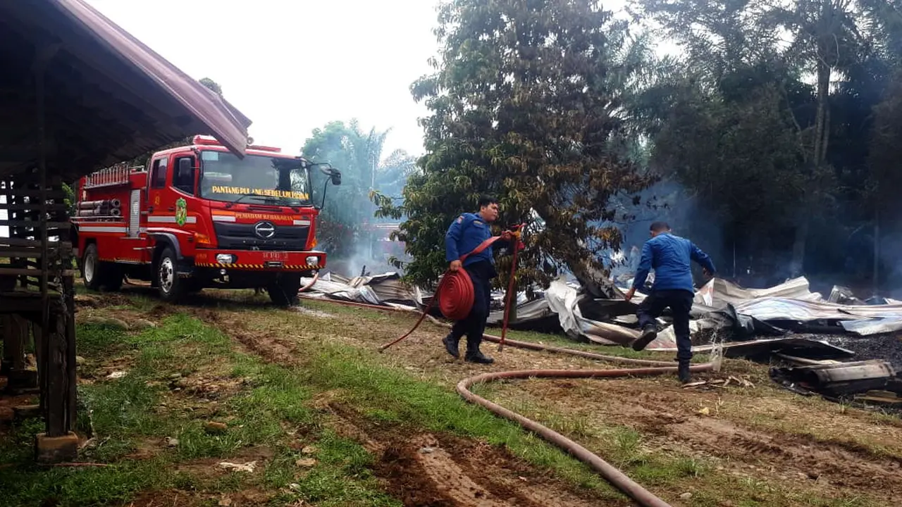 Kebakaran Kandang Ayam