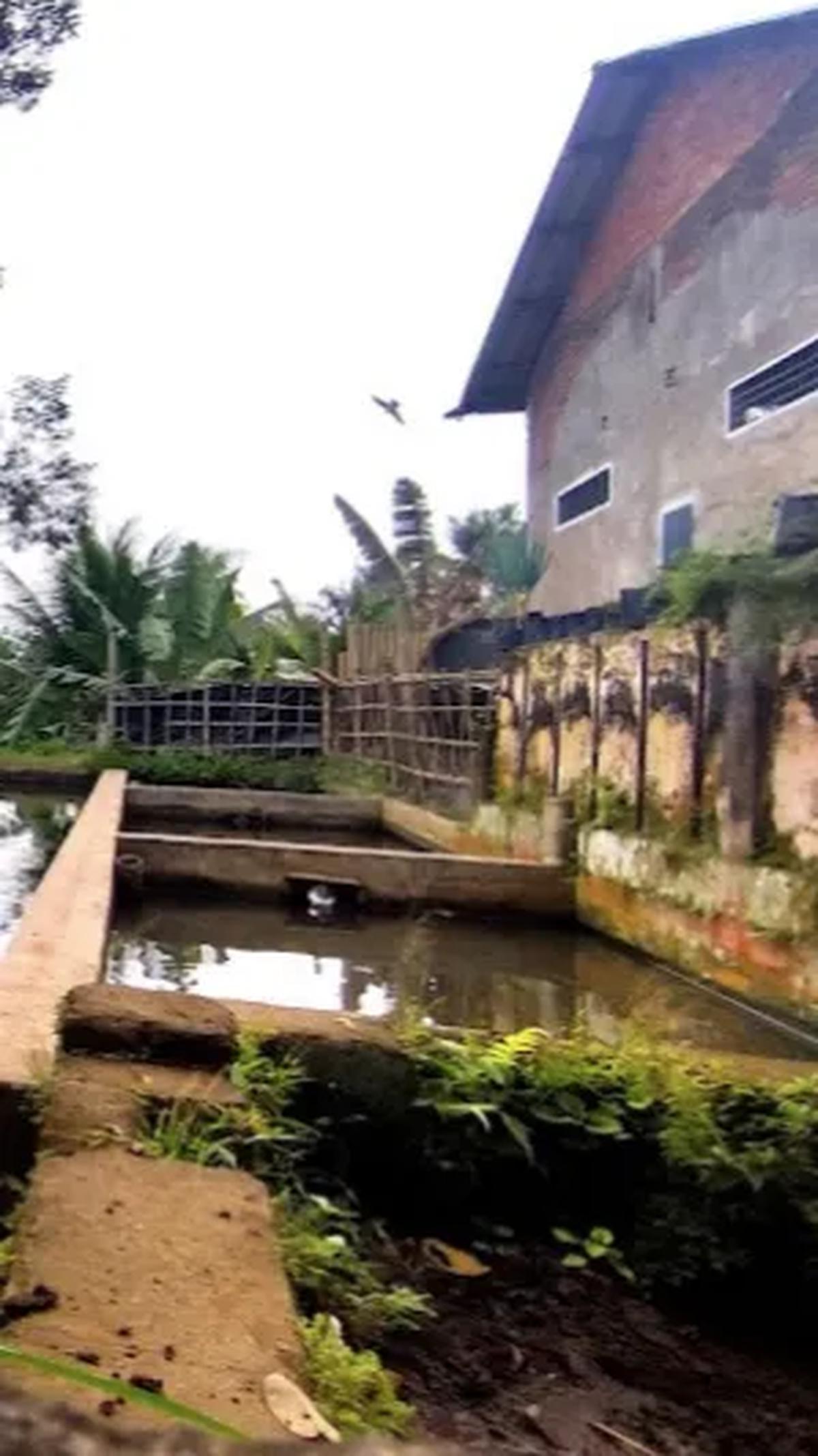 7. Desa Tetebatu