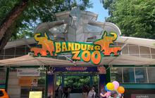Fakta Unik Tata Kelola Bandung Zoo: Sempat Membaik Drastis Sebelum Tersangkut Kasus Korupsi
