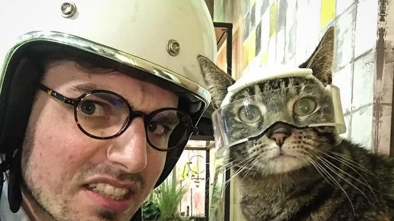 Kisah Cathode, Kucing yang Suka Lakukan Olahraga Ekstrem Bersama Pemiliknya