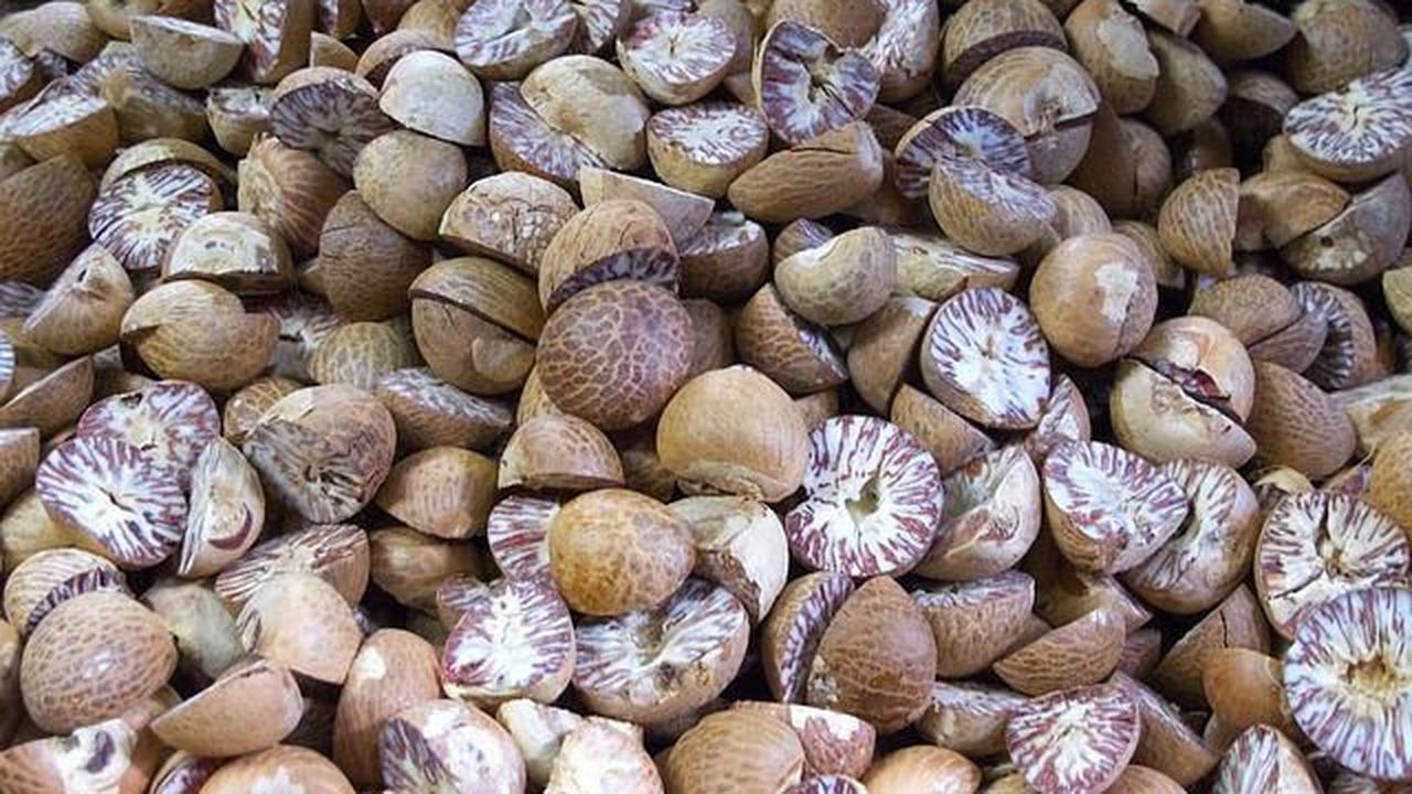 Kandungan Nutrisi Buah Pala