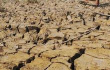 Pemerintah Akui Kurang Antisipasi Dampak El Nino di Indonesia