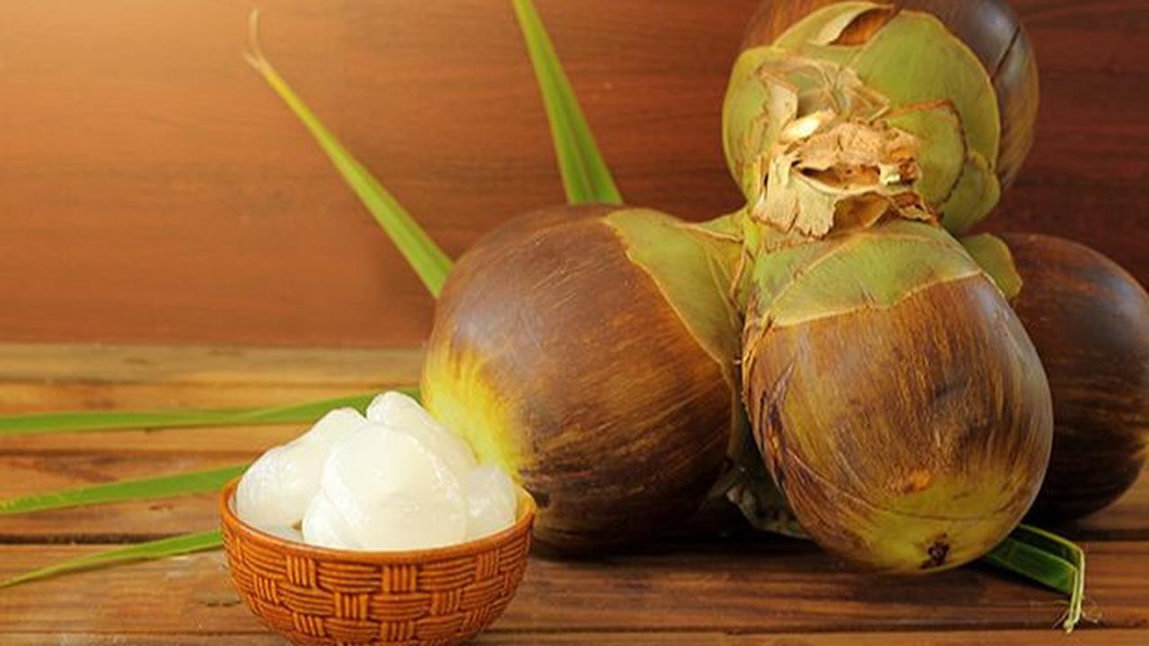 Kandungan Buah Lontar