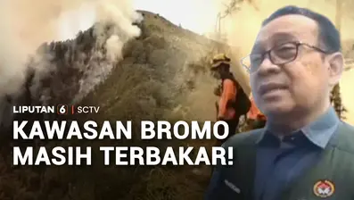 Upaya pemadaman api di dua titik terakhir di kawasan Gunung Bromo masih terus dilakukan. Ratusan personel diturunkan untuk mempercepat proses pemadaman, dengan bantuan udara di tengah cuaca yang kerap berkabut.