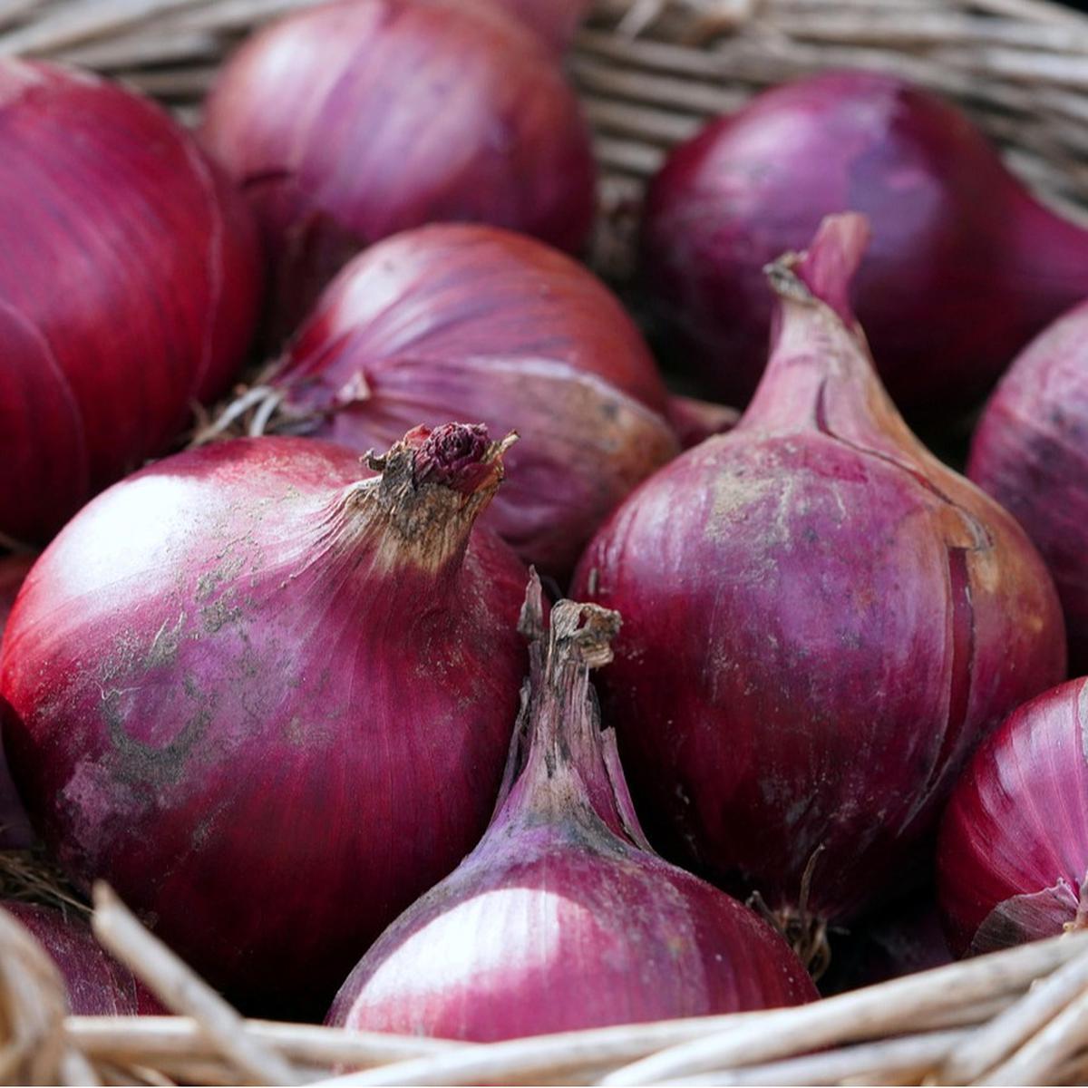 Ilustrasi Bawang Merah (©Pixabay)