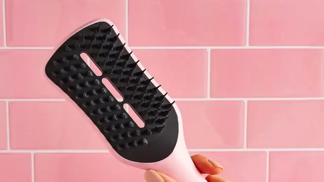 Sisir Berrongga