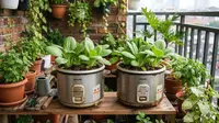 8 Ide Magic Com Rusak untuk Pot Sayur, Cara Kreatif Memanfaatkan Barang Tak Terpakai