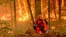 Cal Fire menyebut Ini menjadi kebakaran hutan terbesar sepanjang 2024 dan yang terbesar keempat dalam sejarah California. (JOSH EDELSON/AFP)