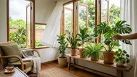 13 Tanaman Dalam Rumah yang Membuat Ruangan Terasa Lebih Segar, Cantik, dan Nyaman