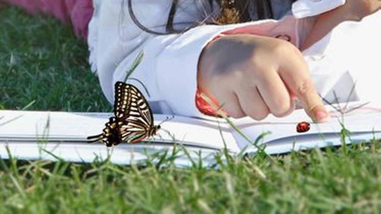 5. Batasi Akses ke Teknologi Selama Belajar