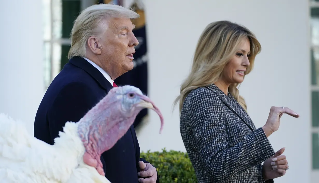 Presiden Donald Trump (kiri) didampingi Ibu Negara Melania Trump pergi usai mengampuni Corn si Kalkun Thanksgiving Nasional di Rose Garden, Gedung Putih, Washington, Amerika Serikat, Selasa (24/11/2020). Thanksgiving adalah hari libur resmi di Amerika Serikat. (AP Photo/Susan Walsh)