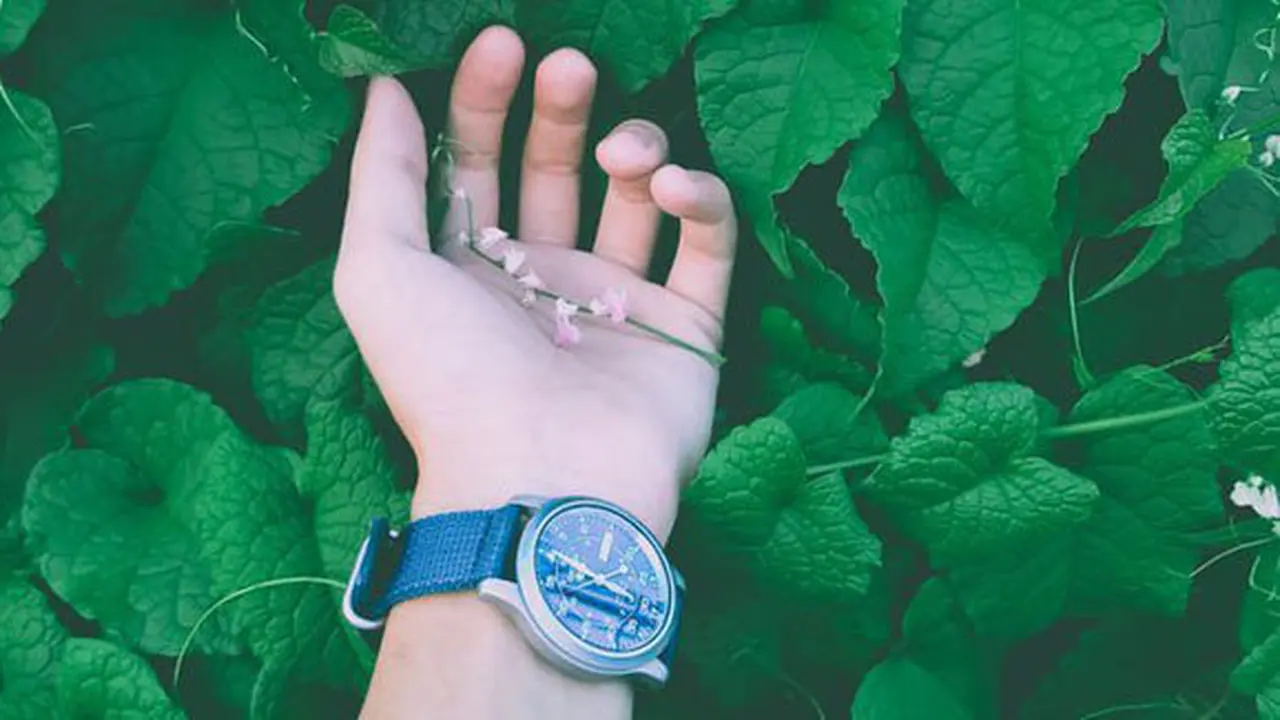 Foto: pexels.com