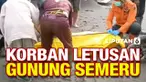 Proses pencarian dan evakuasi korban letusan Gunung Semeru masih terus dilakukan tim SAR dan warga. Doa dan kesedihan warnai momen penemuan jenazah-jenazah korban.