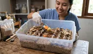 Cara Ternak Ulat Hongkong di Kotak Plastik untuk Pemula, Mudah dan Menguntungkan