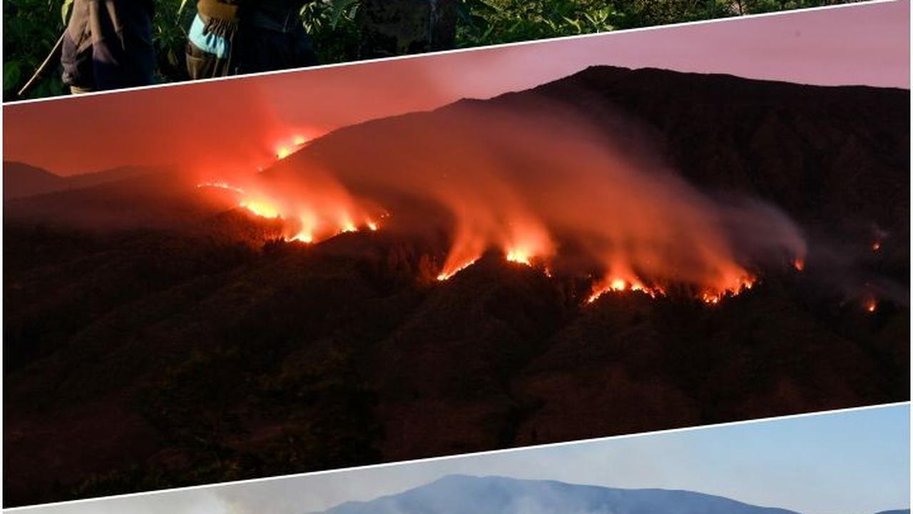 FOTO: Pantauan Kobaran Api dan Asap Kebakaran Gunung Bromo
