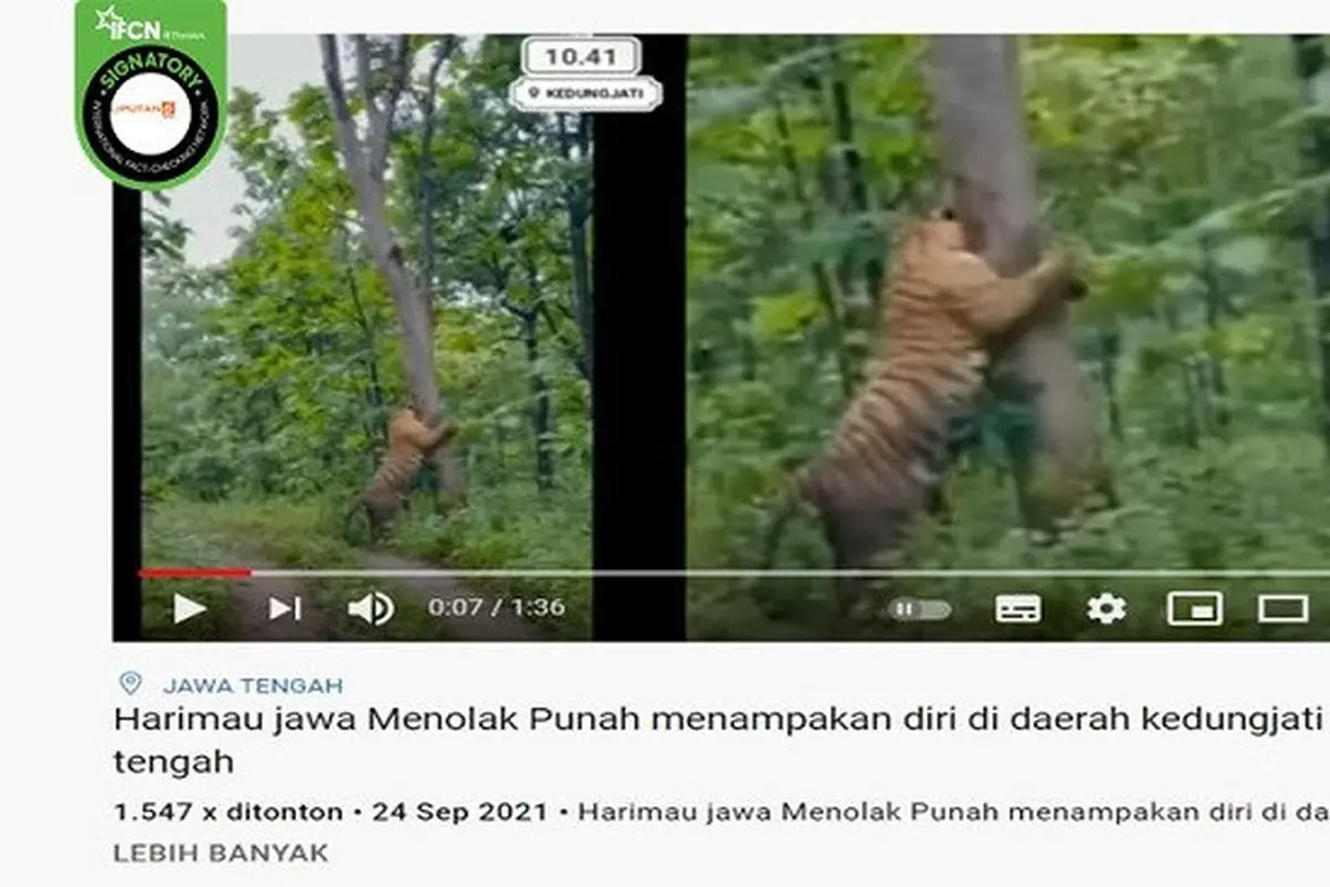 Gambar Tangkapan Layar Video yang Diklaim Kemunculan Harimau di Kedungjati, Jawa Tengah (sumber: Facebook).