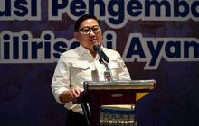 Kementan dan BUMN Perkuat Hilirisasi Ayam Bone, Dorong Peternak Rakyat dan Ketahanan Pangan