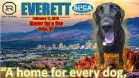 Wah, Wilayah Ini Dipimpin oleh Wali Kota Anjing