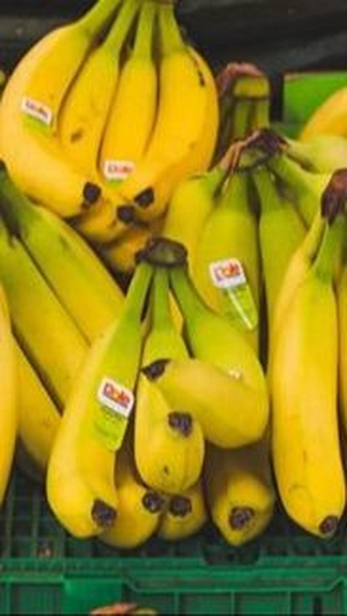 <b>Tips Memilih Pisang yang Berkualitas</b>