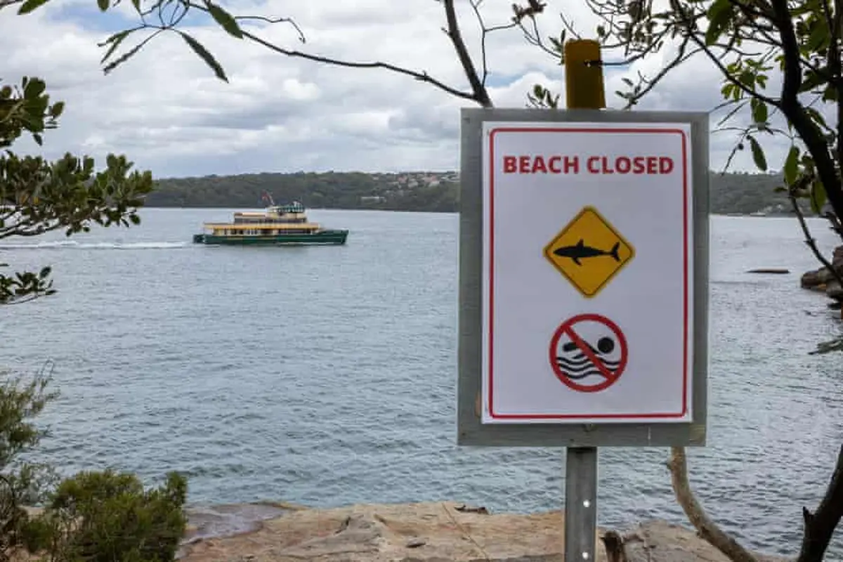 Pantai-pantai di dekat Vaucluse, Sydney, ditutup untuk para perenang.