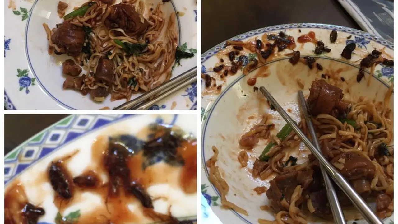 Heboh, Netizen Unggah Pengalamannya Makan Mie Campur 60 Kecoak