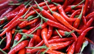 ilustrasi cabai merah/Photo by Elle Hughes on Unsplash