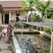 9 Desain Kandang Ayam dan Kolam Lele dalam Satu Lahan untuk Rumah Kecil