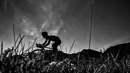 Pebalap Belgia, Thomas De Gendt melintasi jalur pegunungan pada etape kelima Tour de France, (6/7/2016), Etape ini melewati Limoges dan Le Lioran. (AFP/Jeff Pachoud)