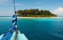 Menyusuri Taman Nasional Siberut, Hutan Hujan Tropis di Pulau Mentawai yang Kaya Keanekaragaman Hayati