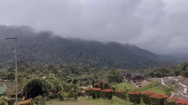 Kebun Raya Liwa, Lampung Barat. Foto : (Istimewa).