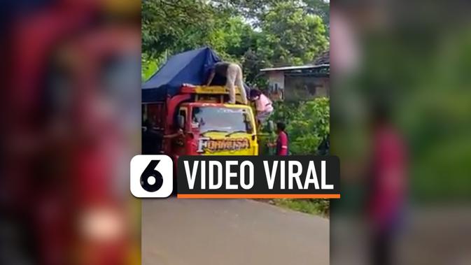 VIDEO: Viral, Begini Akal-Akalan Pemudik Agar Bisa Pulang ke Kampung - Liputan6.com