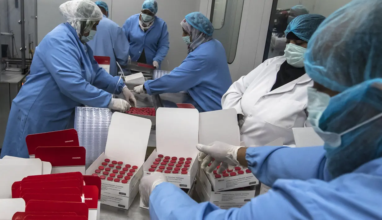 Sejumlah pekerja laboratorium saat mengisi kotak dengan botol vaksin Sinovac di laboratorium Vacsera, Kairo, Mesir, Rabu (1/9/2021). Mesir berencana memproduksi satu miliar dosis Sinovac setiap tahun dan menjadikan produsen vaksin terbesar di Timur Tengah dan Afrika. (AFP/Khaled Desouki)