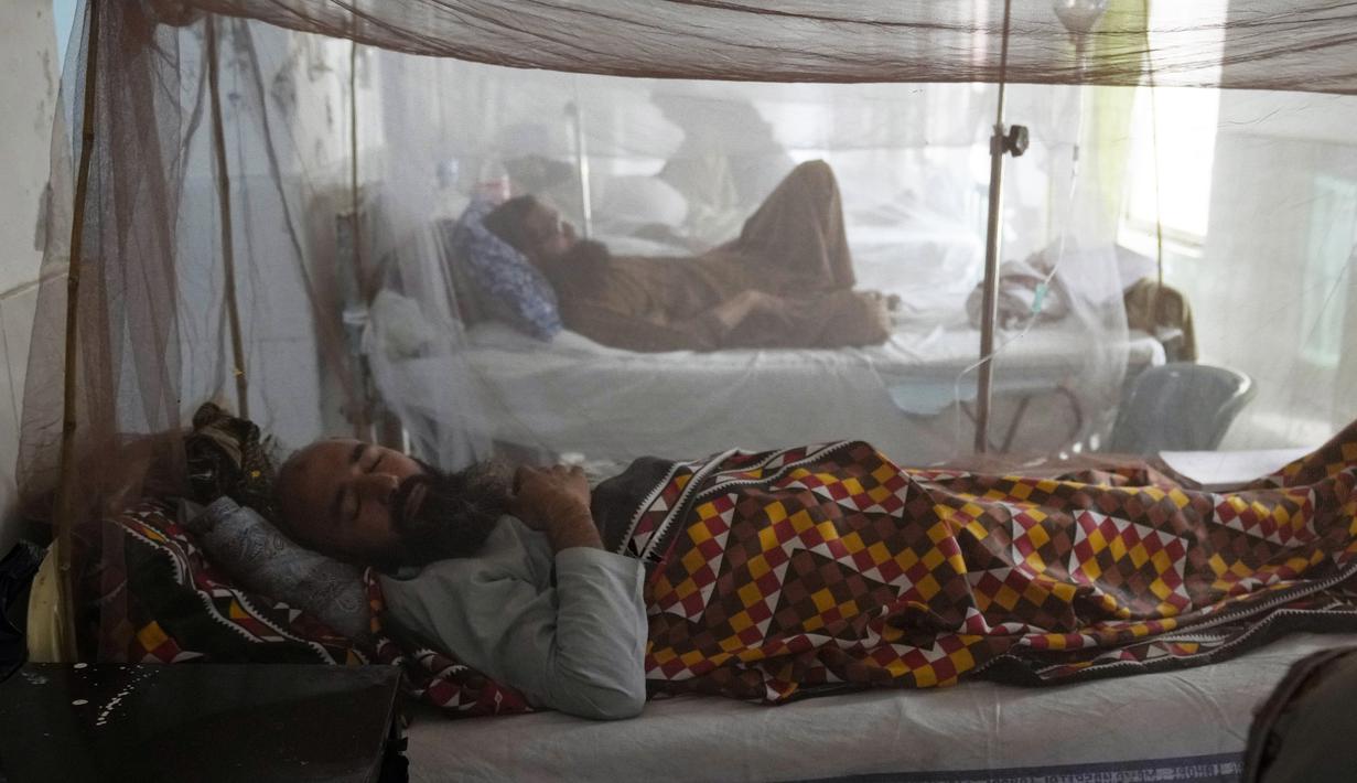 Pasien yang menderita demam berdarah, penyakit yang ditularkan oleh nyamuk, dirawat di bangsal isolasi, di sebuah rumah sakit di Lahore, Pakistan, Jumat (23/9/2022). Pakistan telah mengerahkan ribuan dokter dan paramedis tambahan di provinsi yang paling parah dilanda banjir di negara itu untuk menahan penyebaran penyakit yang telah menewaskan lebih dari 300 orang di antara para korban banjir, kata para pejabat. (AP Photo/K.M. Chaudary)