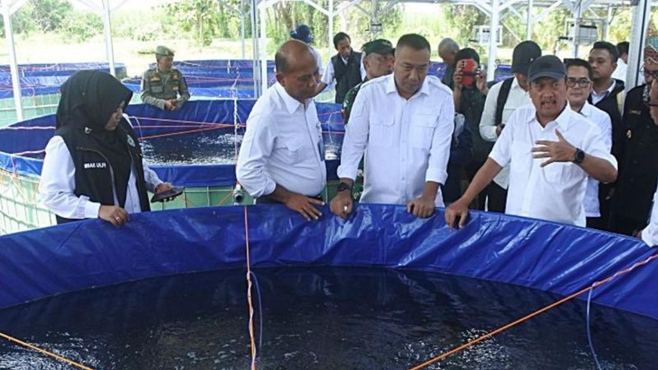 Menteri KKP Tinjau Budi Daya Ikan Lele Bioflok, Perkuat Ekonomi Desa dan Ketahanan Pangan
