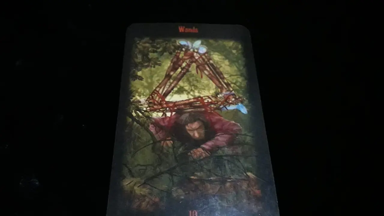 Tarot Cinta edisi 18 - 24 Mei 2019. (Foto: Elisabet Kusumodewi)