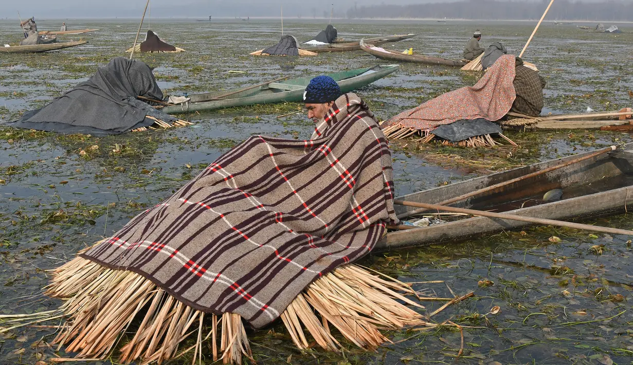 Nelayan Kashmir beralaskan jerami dan menutupi sebagian tubuhnya ketika menangkap ikan di Danau Anchar, pinggiran Srinagar, India, 28 Desember 2017. Cara unik itu merupakan taktik mereka untuk menangkap ikan. (TAUSEEF MUSTAFA/AFP)