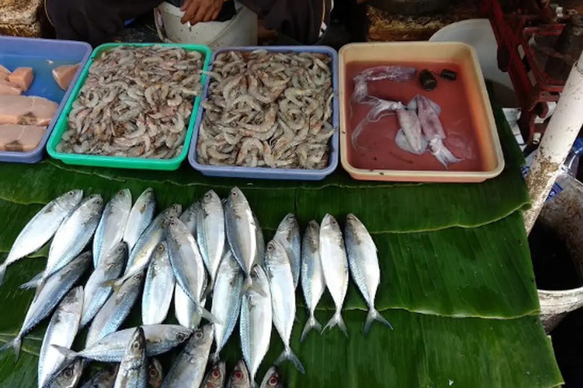 (Foto: Liputan6.com/Maulandy R)