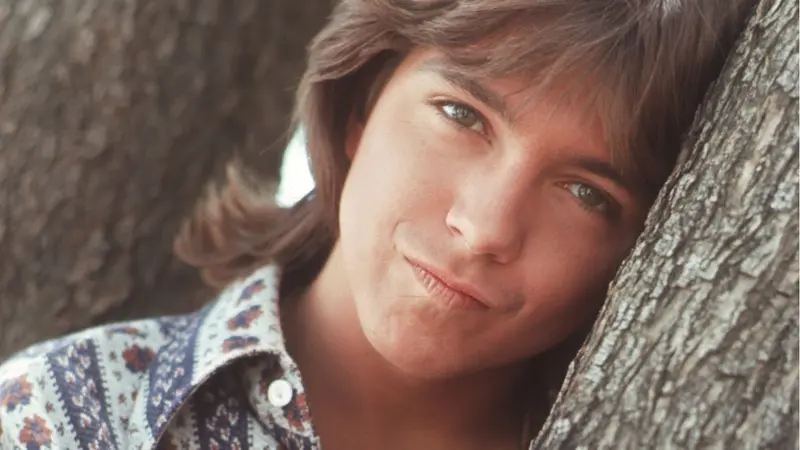 [Bintang] David Cassidy