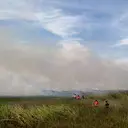 Warga Terdampak Kabut Asap Kebakaran Hutan Dianjurkan Pakai Masker Filtrasi Tinggi