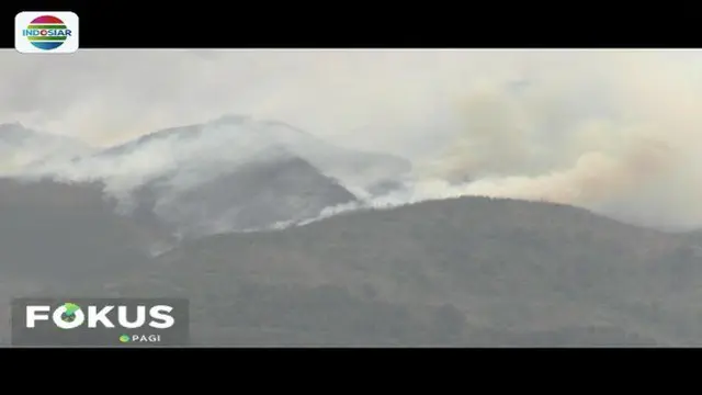 Sekitar 100 hektar lereng Gunung Merbabu hangus dilalap api. Kebakaran juga memutus jaringan pipa air bersih yang mengalir ke desa.